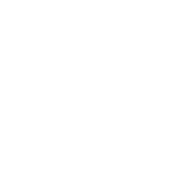 Splash Suites White Logo